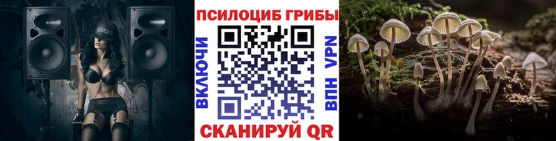 Псилоцибиновые грибы прущие грибы  купить наркотик  Чулым 